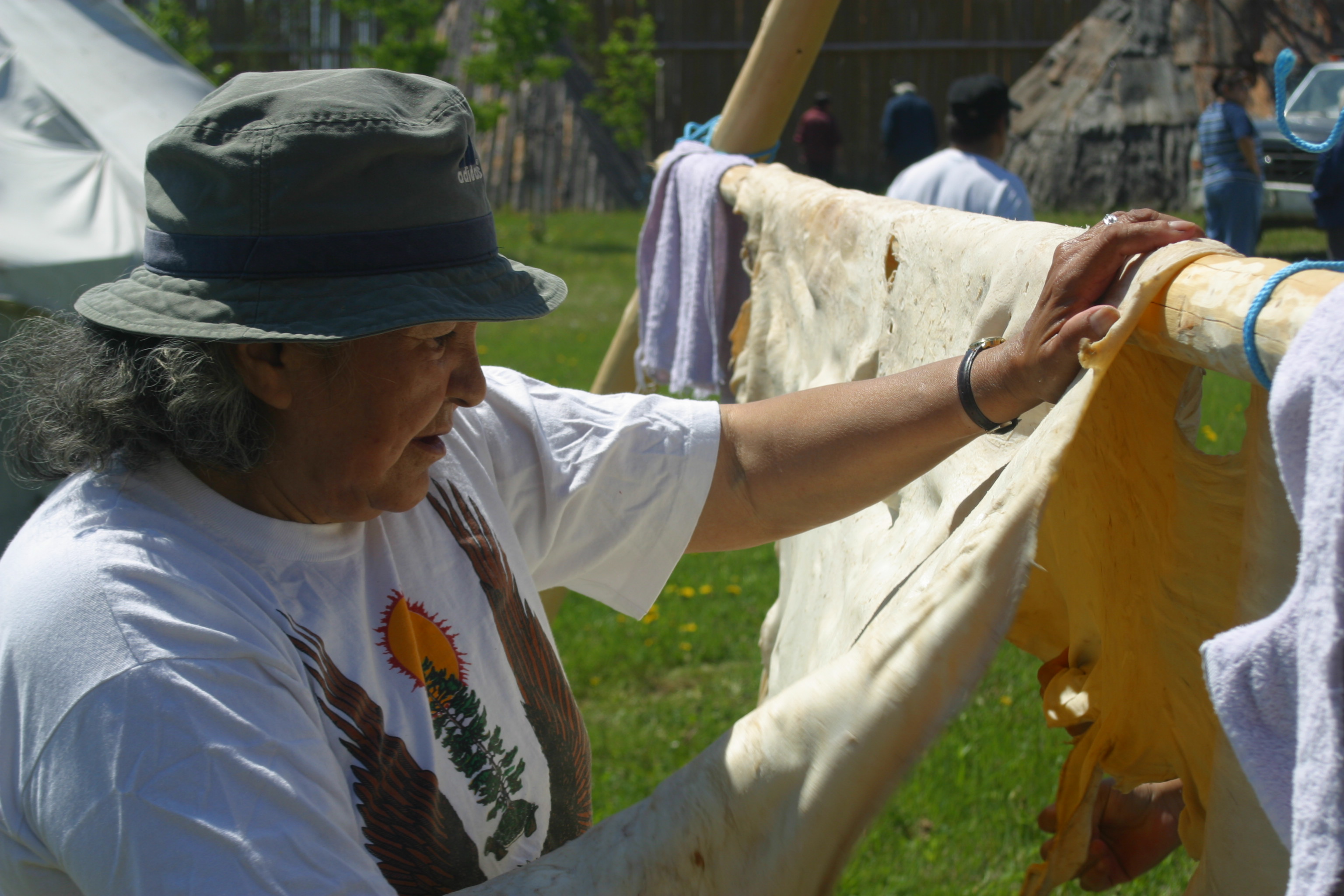 Stretching and drying moose hide
