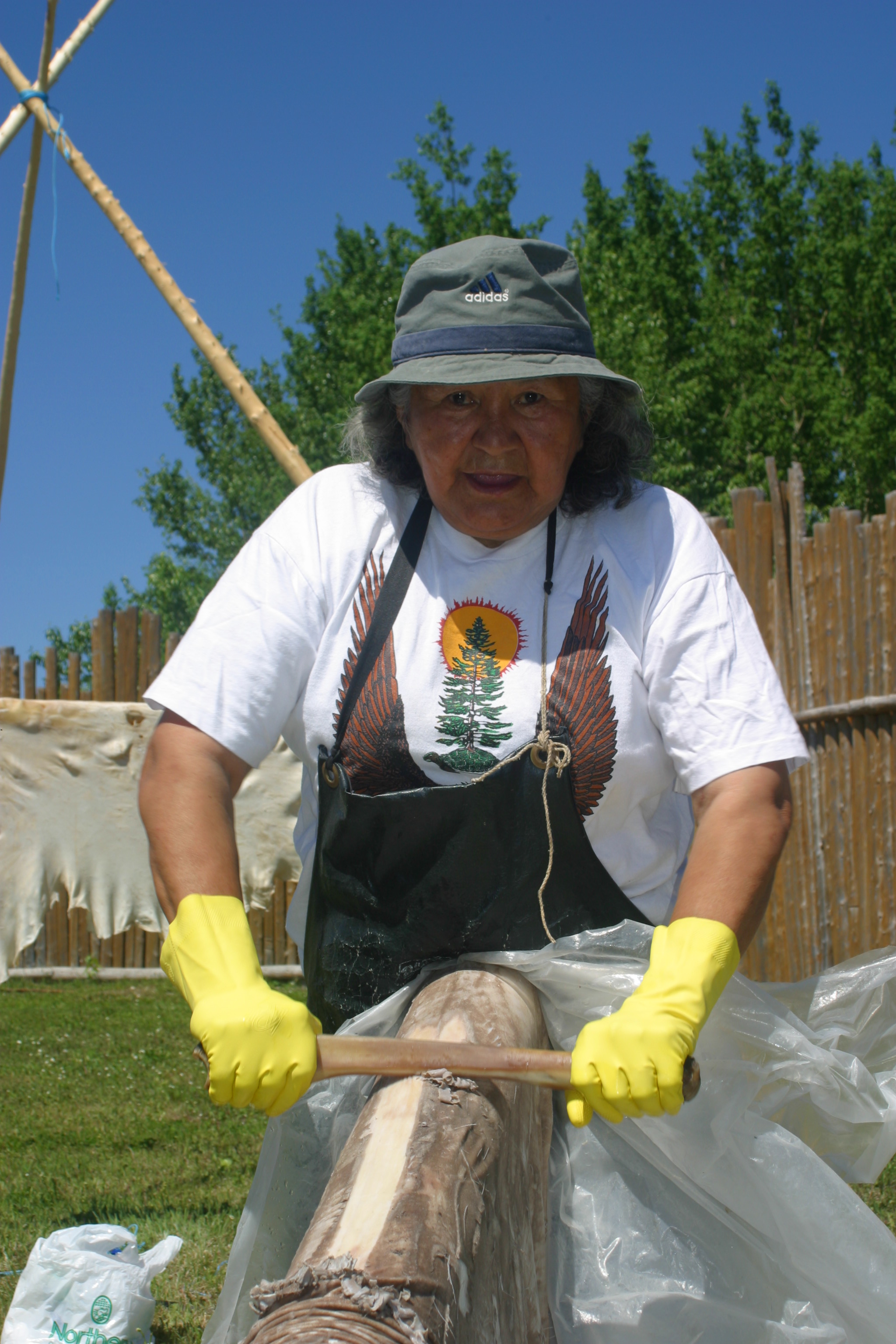 Scraping moose hide using bone scraper