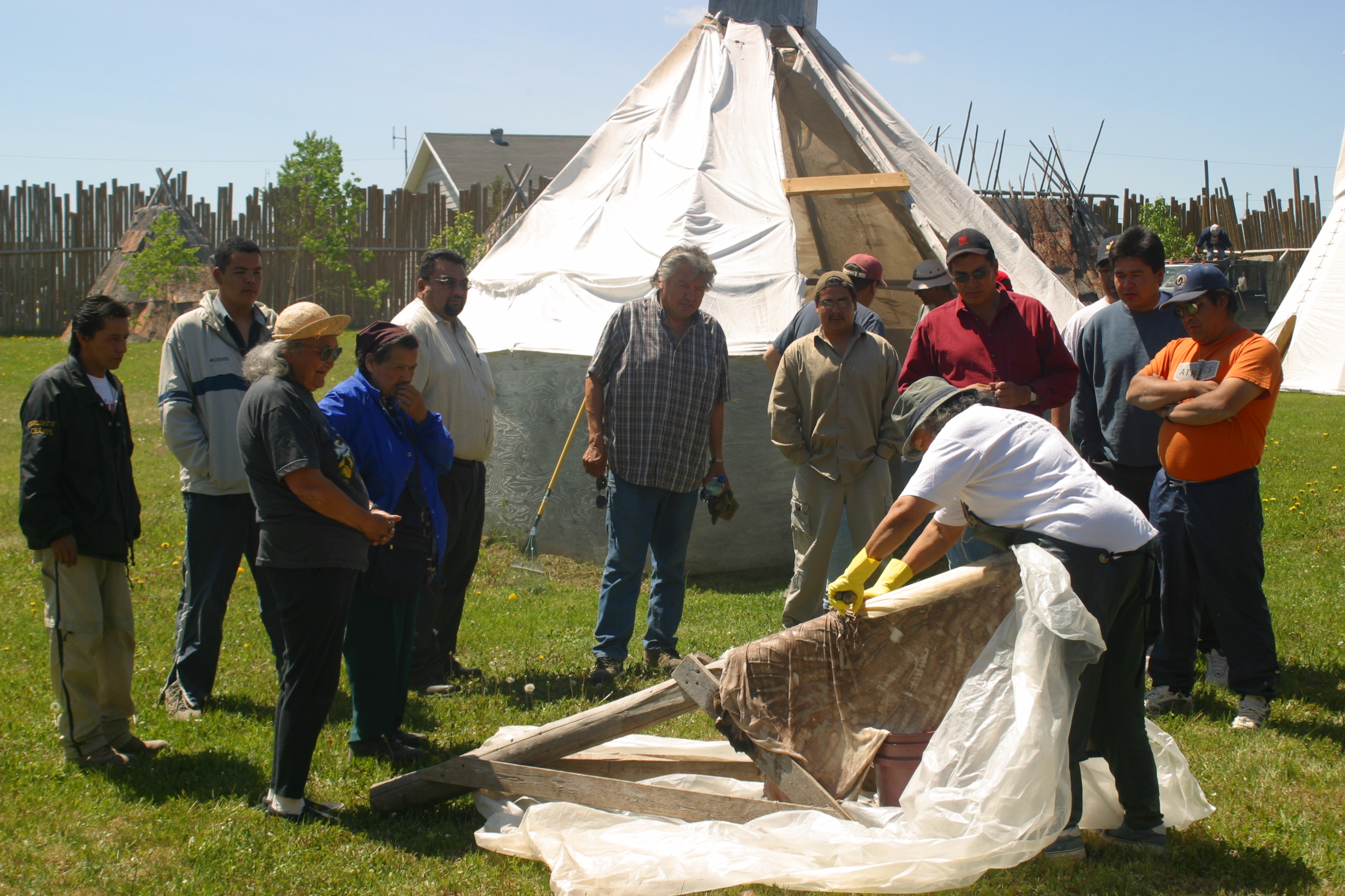 Demonstrating scraping a moose hide