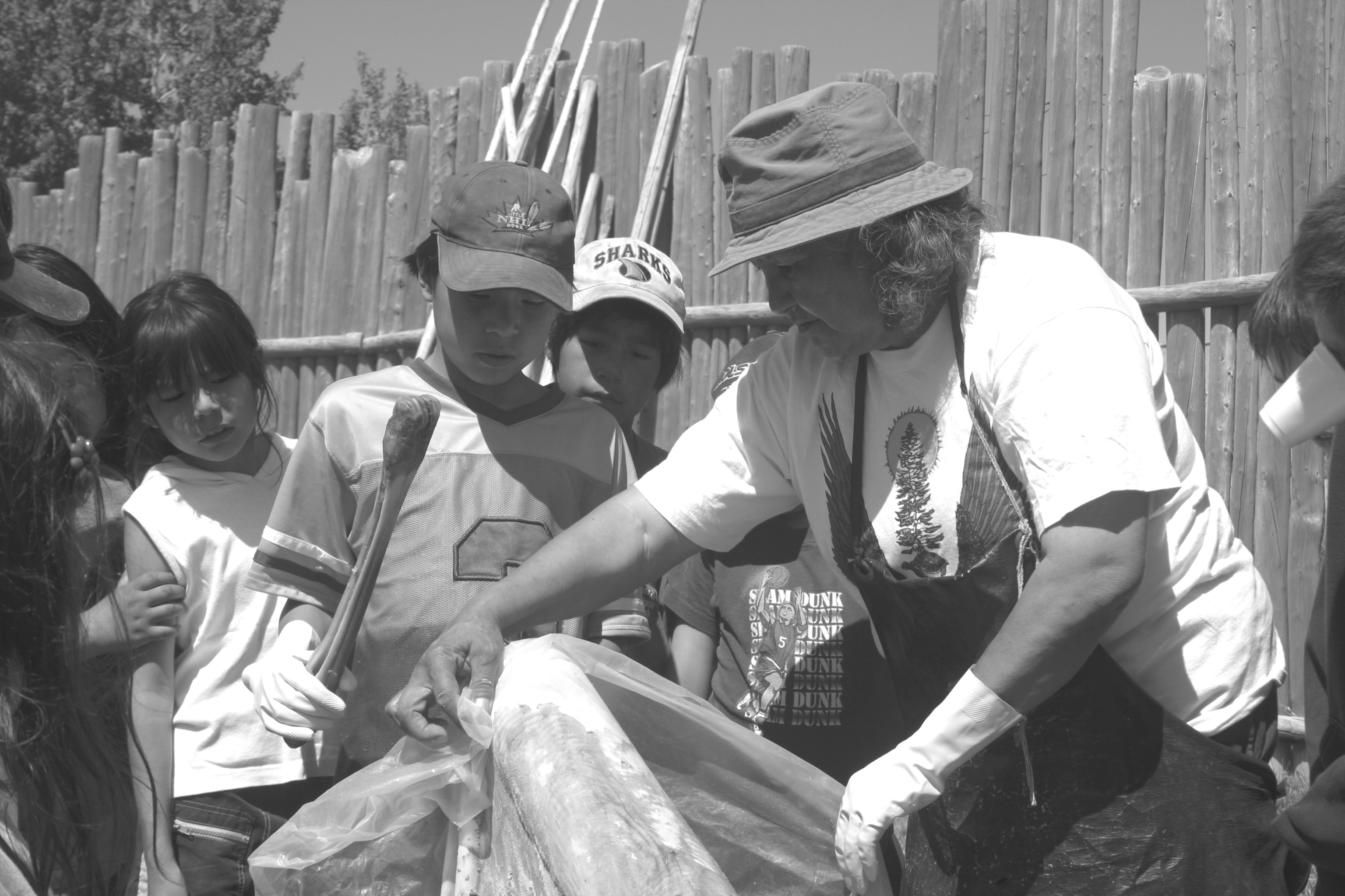 Caroline Trapper showing how to scrape a moose hide